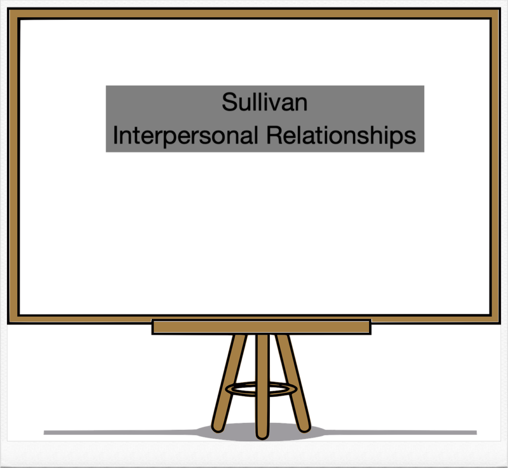 신프로이드 정신분석학자 중의 한 명인 해리 스택 설리반 (Harry Stack Sullivan)의 대인관계의 설명.