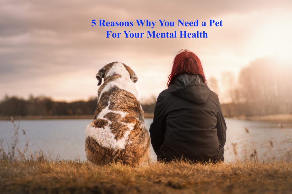 Pets Might Be the Key to Improving Mental Health